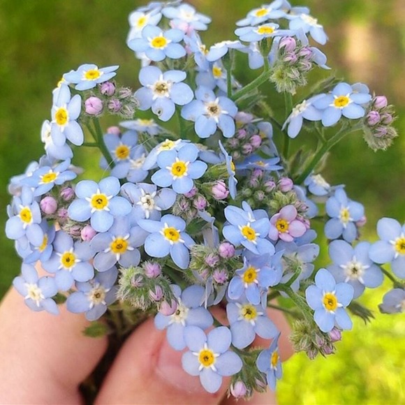 Meet your Posher, Madelyn - Picture 1 of 1